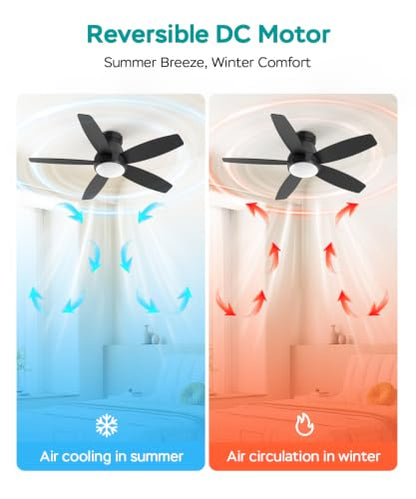 52 Inch Ceiling Fans with Lights