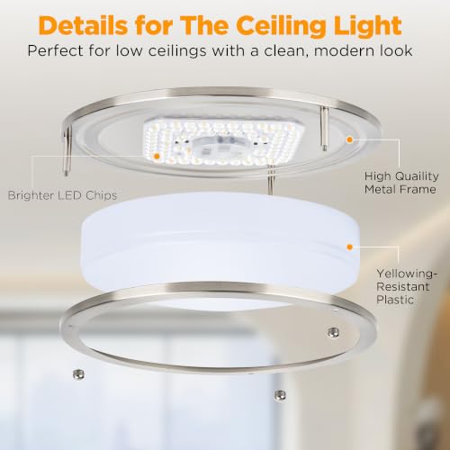 Flush Mount Ceiling Light