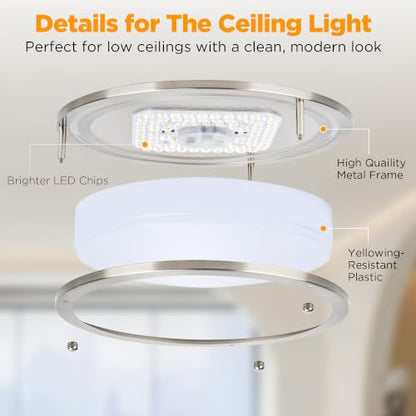 Flush Mount Ceiling Light