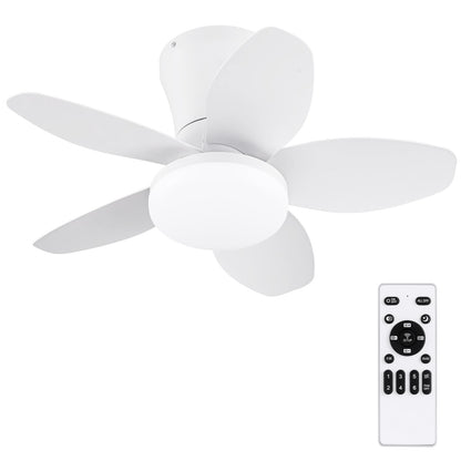 Small Ceiling Fan with Lights (White / 25 Inch)