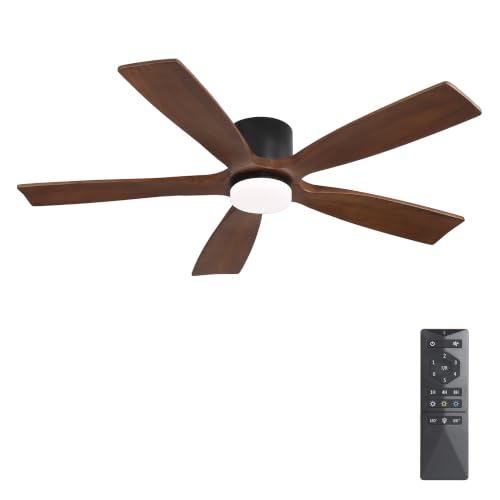 Ceiling Fan with Lights