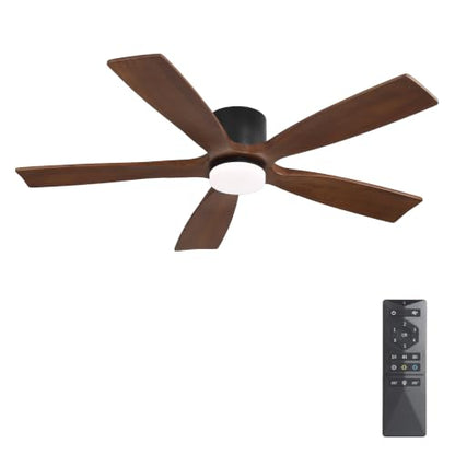 Ceiling Fan with Lights