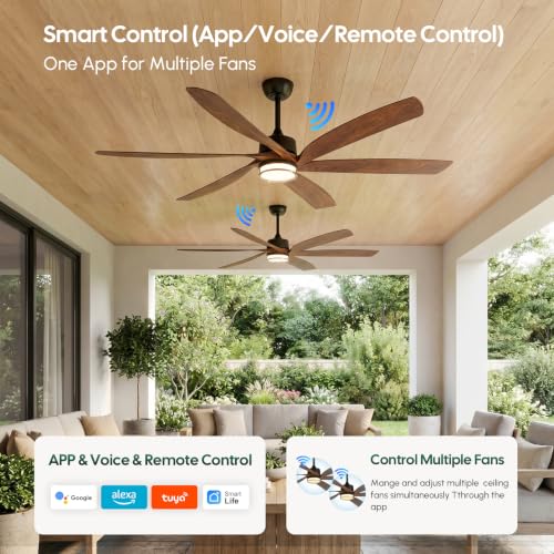 604 Smart Ceiling Fan with Light