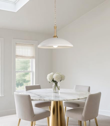 1 Light Pendant Light Fixture