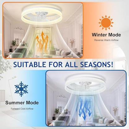 DLLT Modern Ceiling Fans with Lights