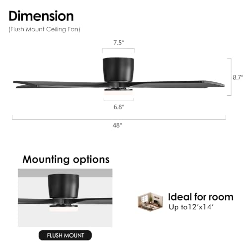 Ceiling Fan with Lights
