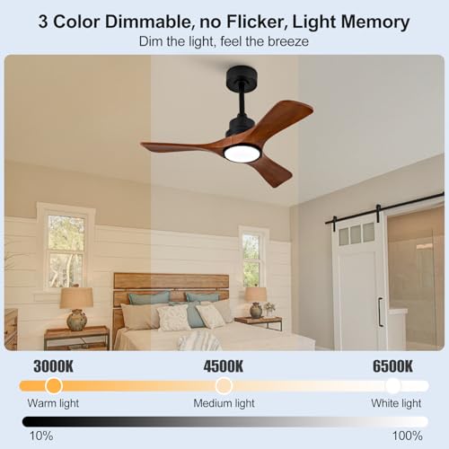 Ceiling Fan with Light