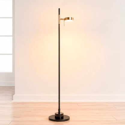 Noah Reading Floor Lamp