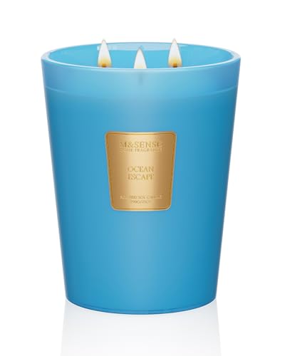 Large Soy Candle