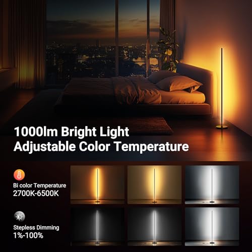 Smart Floor Lamp