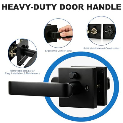 Interior Privacy Door Lever