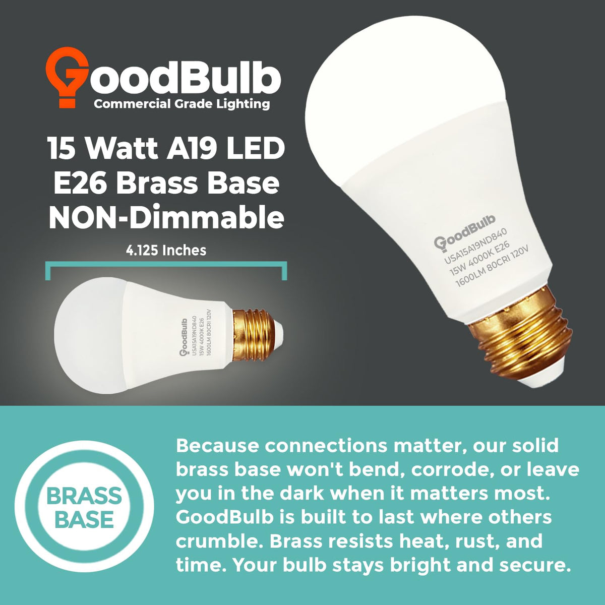 Made in USA A19 LED Light Bulbs (Cool White)