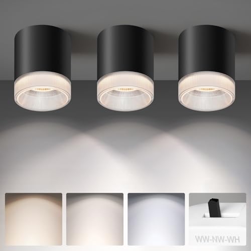 Ceiling Light Fixtures for Hallway Kitchen Entryway