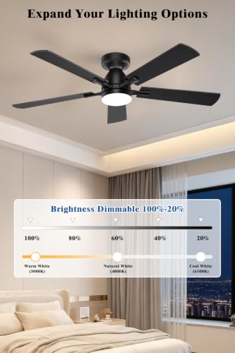 Ceiling Fan with Light