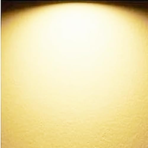 20W Ceiling Fan Light Replacement kit
