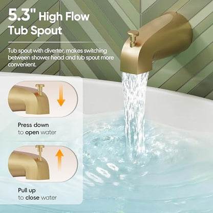 Shower Trim Kit