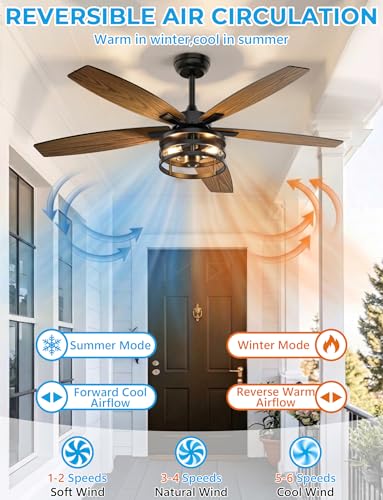 Outdoor Ceiling Fans with Light