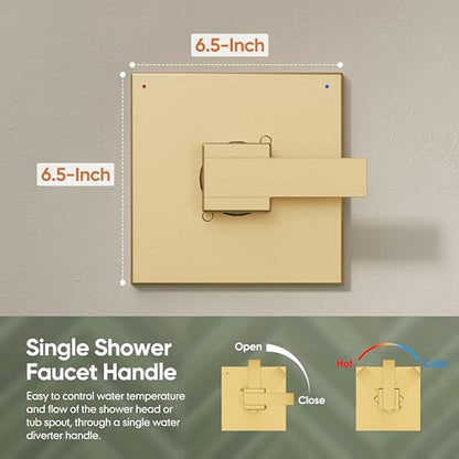 Shower Trim Kit