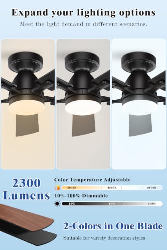 Ceiling Fan with Light