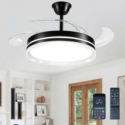 Ceiling Fans with Lights