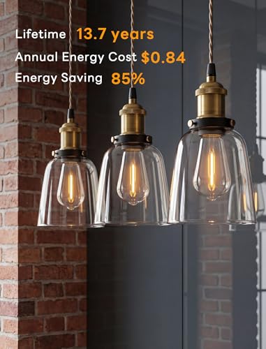 ST38 LED Replacement String Light Bulbs