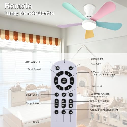 Ceiling Fans with Lights