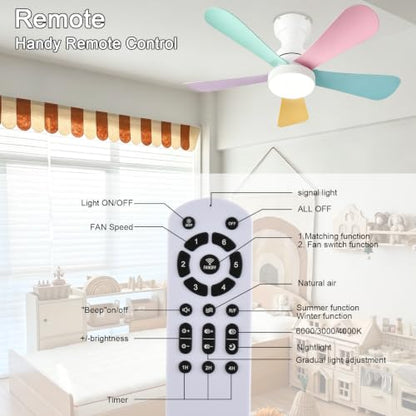 Ceiling Fans with Lights