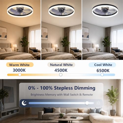 Ceiling Fan with Light and Remote