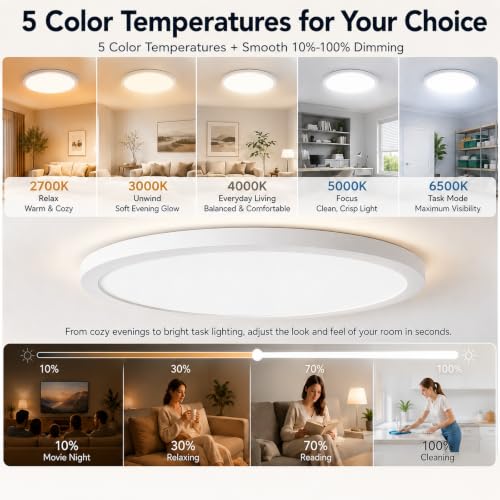 Ceiling Lights