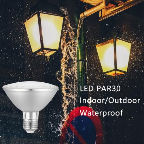 E26 PRA30 120V Light Bulb
