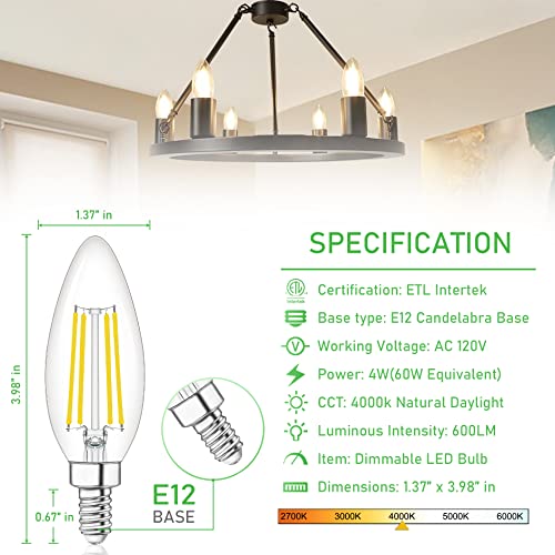 E12 LED Light Bulb Candelabra 60W Equivalent 4000K Natural White (10 Count (Pack of 1))