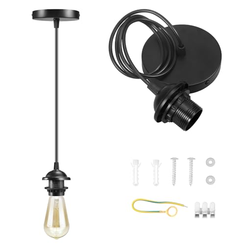 Plug in Hanging Light Kit