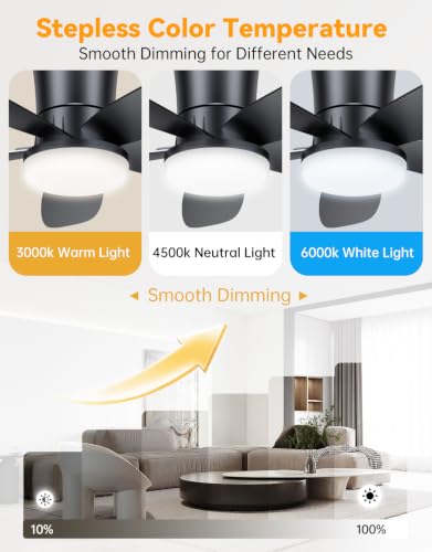 Ceiling Fans with Lights