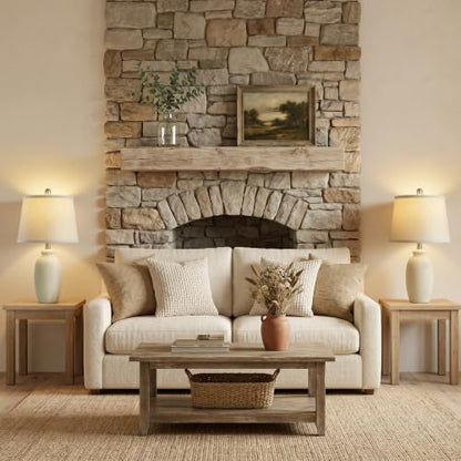 Ceramic Table Lamps Set of 2