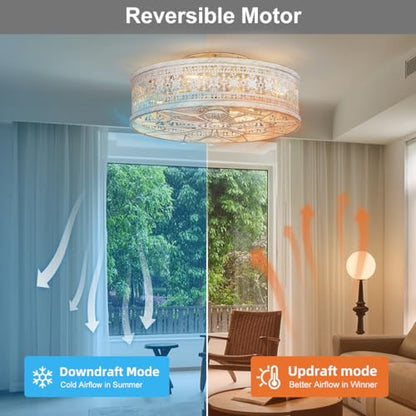 Caged Ceiling Fan with Light