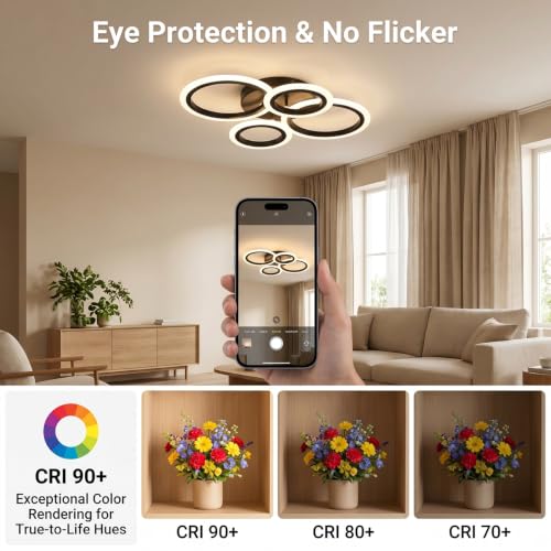 Modern LED Ceiling Light