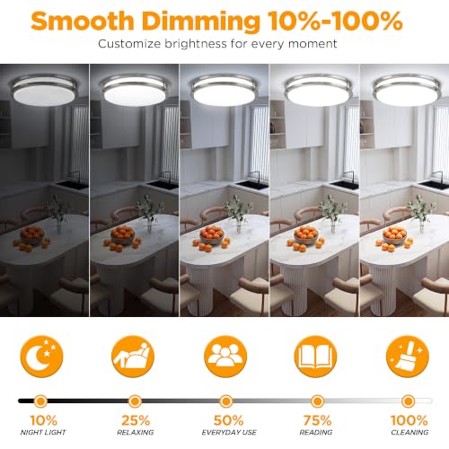 Flush Mount Ceiling Light
