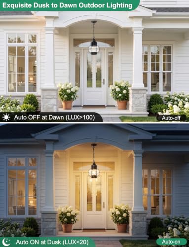 Outdoor Pendant Lights for Porch