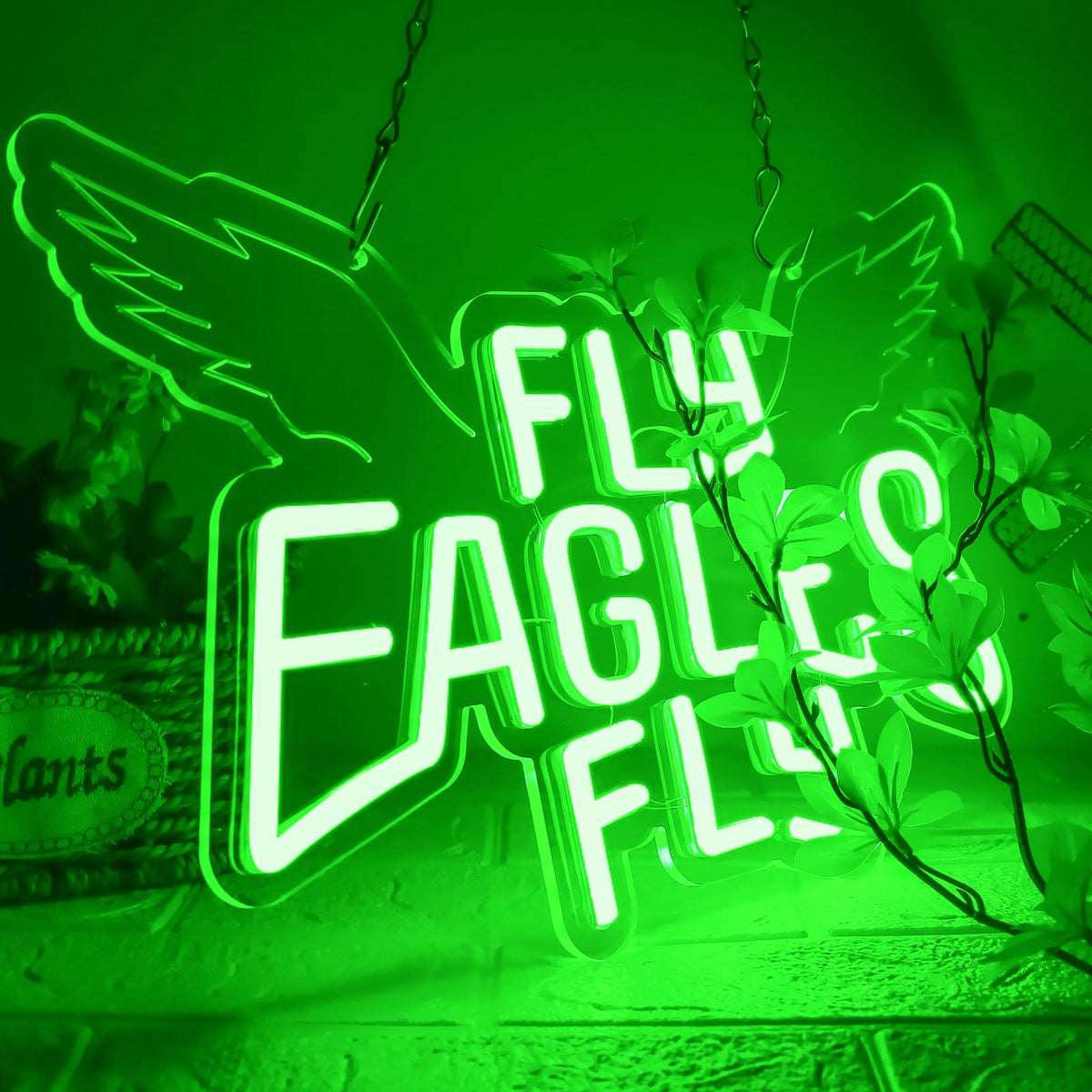 Eagles Team Chant Neon Signs for Wall Decor Team Chant Neon Lights for Bedroom Led Signs Suitable for Dormitory Man Cave Christmas Gift (Eagles 003)