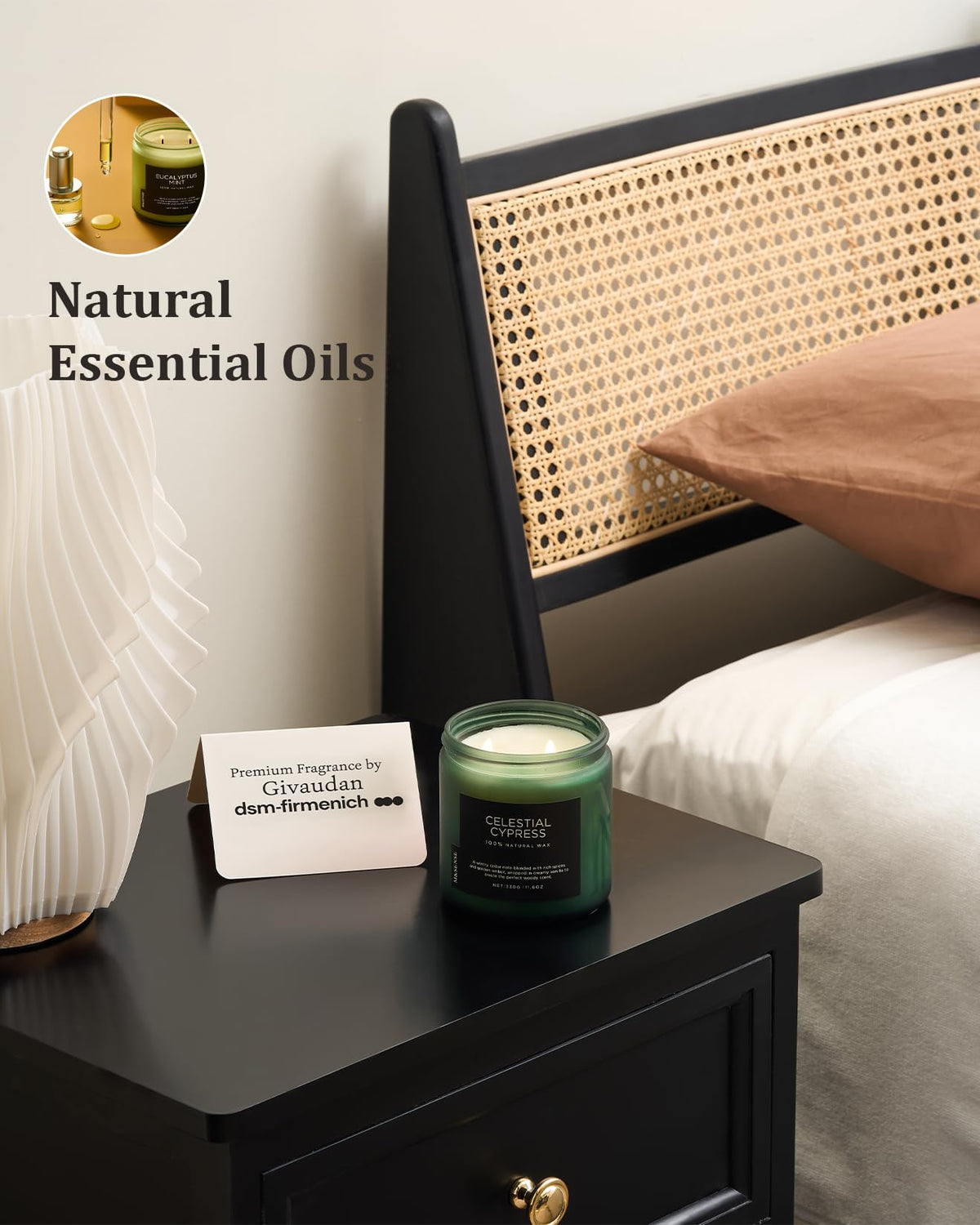 Celestial Cypress Scented Candles for Home (Celestial Cypress / Medium Jar)