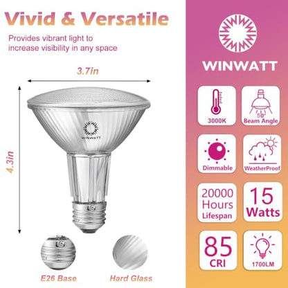 LED Light Bulbs PAR30L Full Glass Commercial Grade