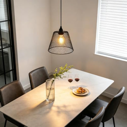 Hanging Pendant Lamp LED Filament Bulb 60W Equivalent Plug in