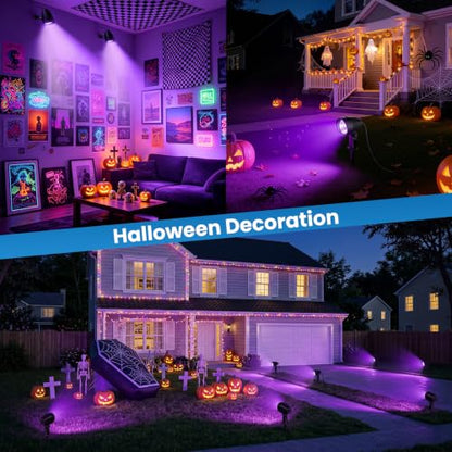Black Light Outdoor Spotlight