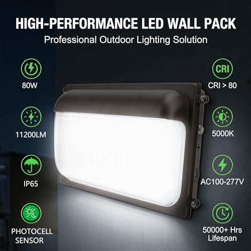 Dimmable LED Wall Pac Light