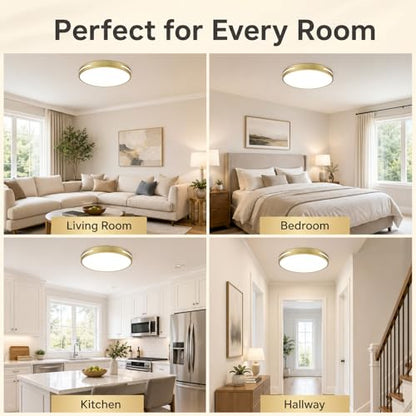 Close to Ceiling Light VC10
