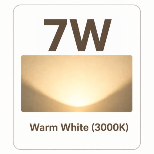 12V Low Voltage Landscape Flood Light