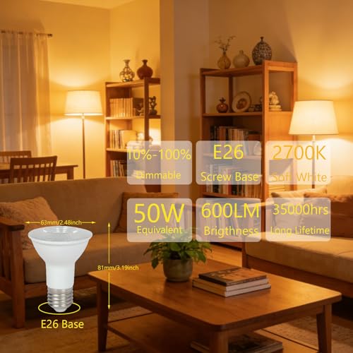 PAR20 LED Light Bulb