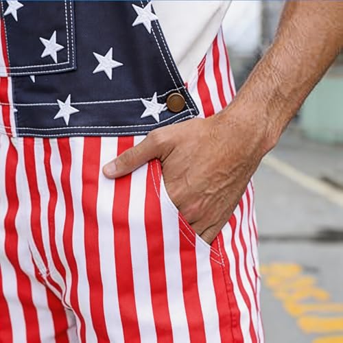 Overalls for Men Shorts Jumpsuit Adjustable Straps Brewery Coveralls with Pockets Festival Bib