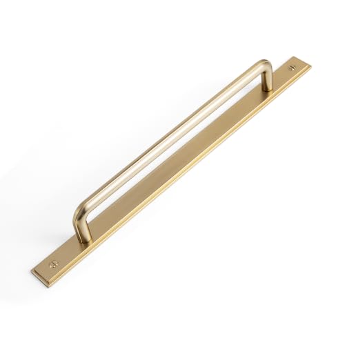 2 Pack Cabinet Pulls with Backplate 2510