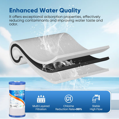 25 Micron 10"x4.5" Whole House Sediment and Carbon Filter (3 Count (Pack of 1))